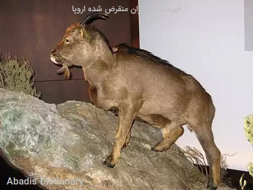 فهرست جانوران منقرض شده اروپا